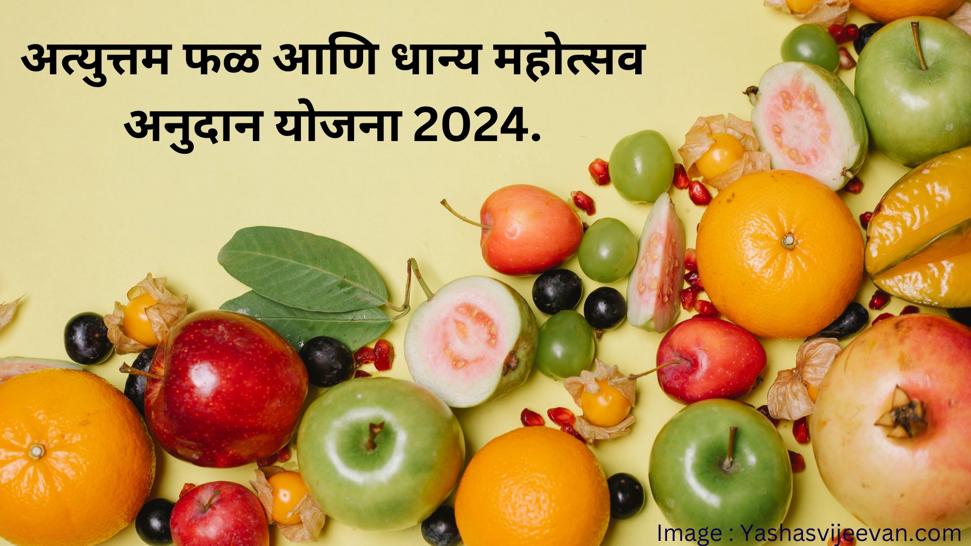 अत्युत्तम फळ आणि धान्य महोत्सव अनुदान योजना 2024.|BEST FRUIT AND GRAIN FESTIVAL SUBSIDY SCHEME 2024.